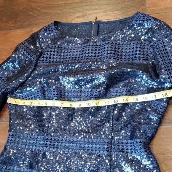 NWT Alex Marie Sequin Mesh Sheath dress - Picture 6 of 12